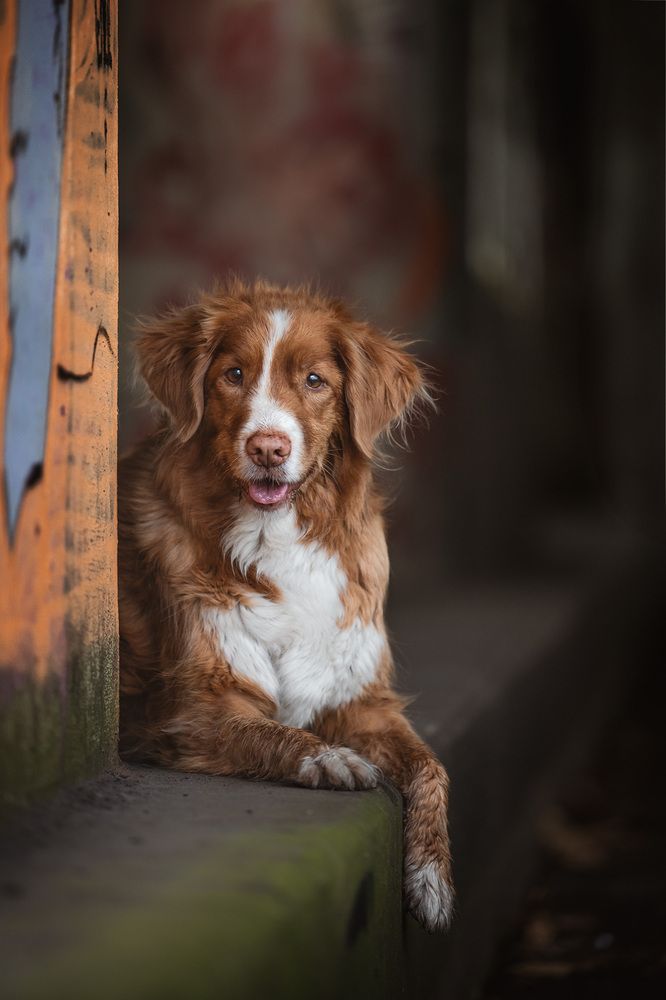 Фотография автора Saskia Houben