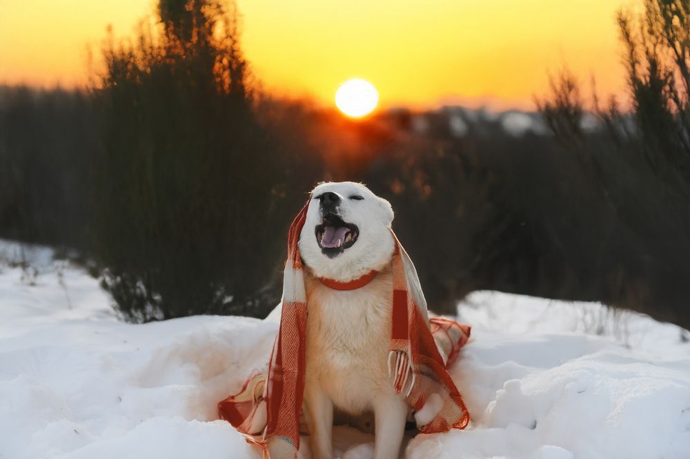 Photograph by Анастасия Тетерина