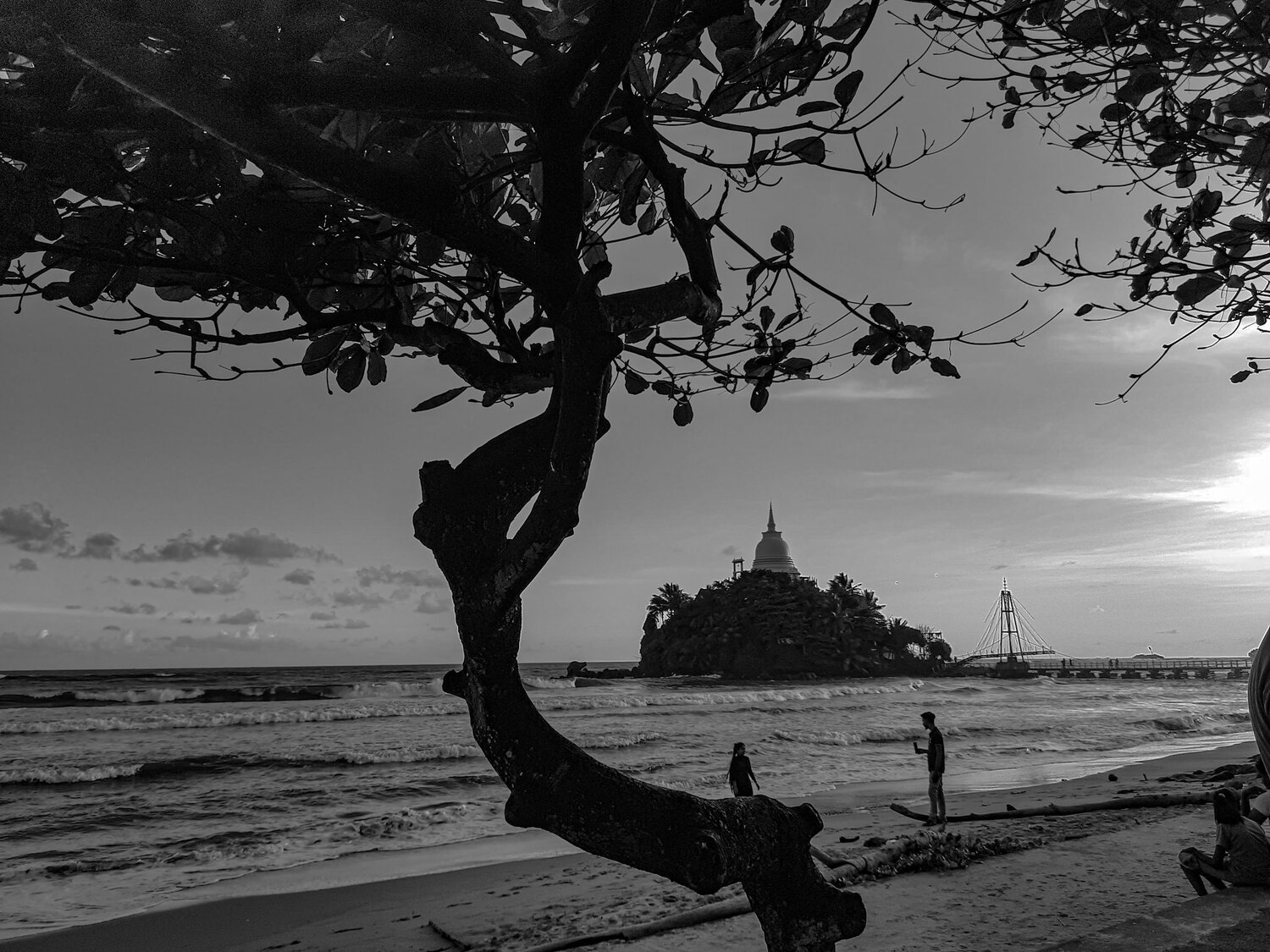 Photo #11968743