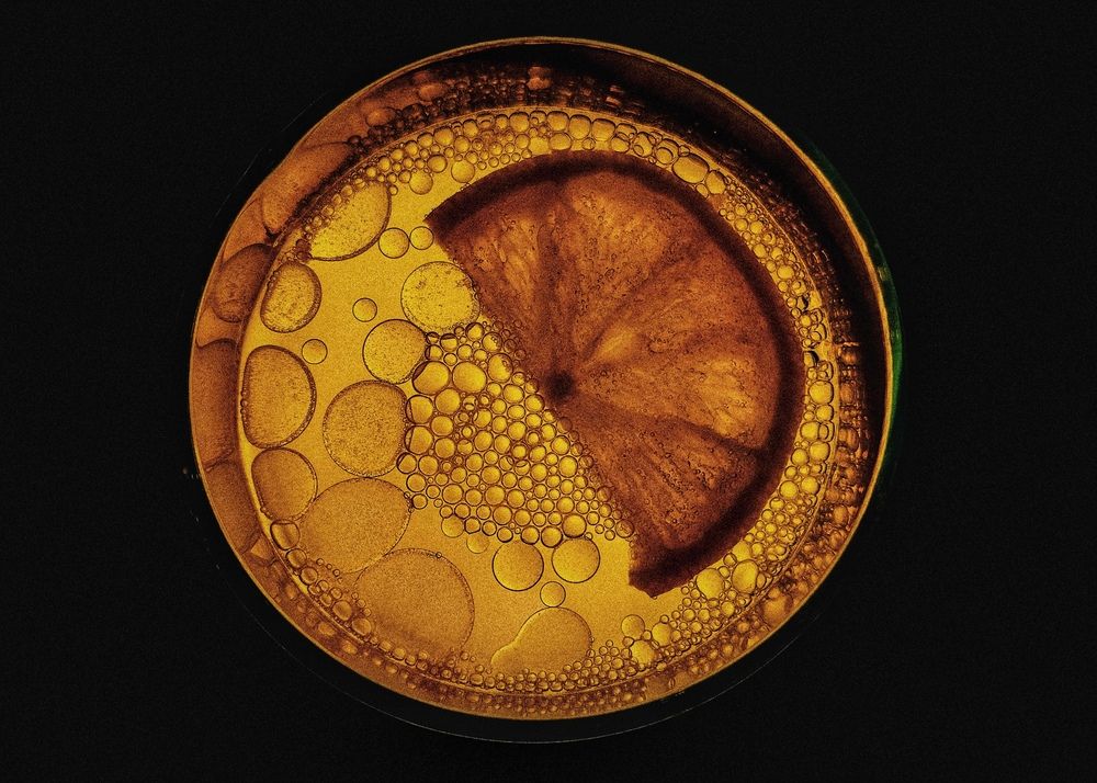 Photograph by hadise khalaji