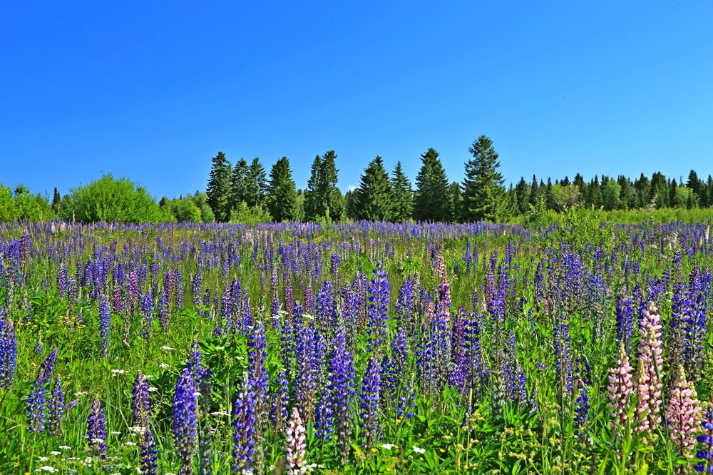 Фотография автора Юрий Кетель