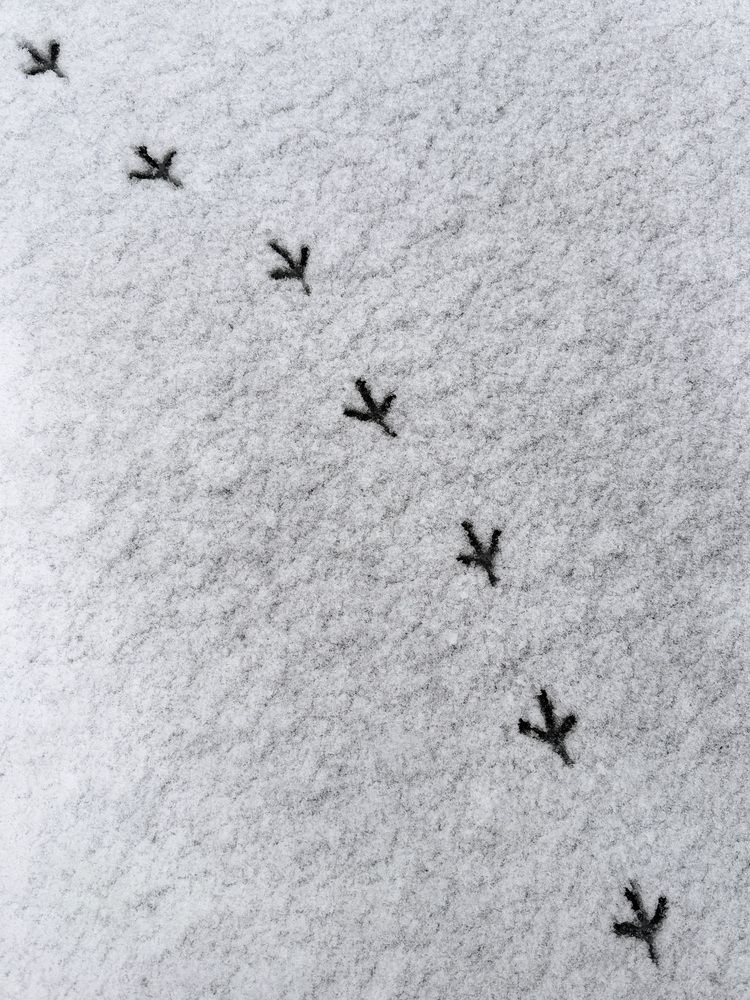 Photograph by Лилия Гарипова