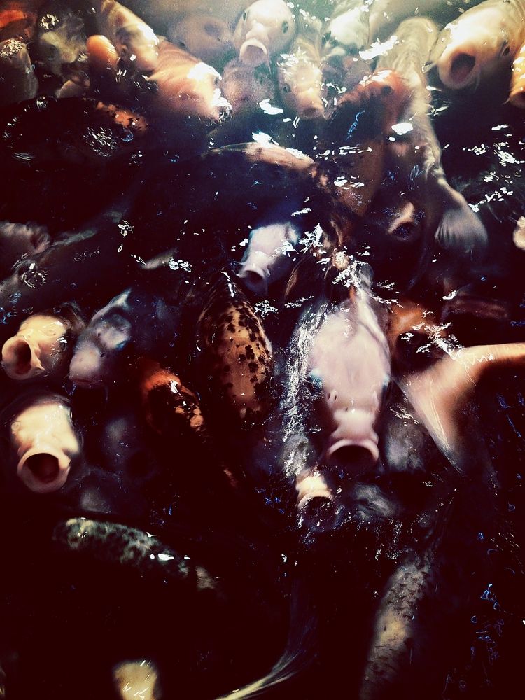 Photograph by Василиса Харламова