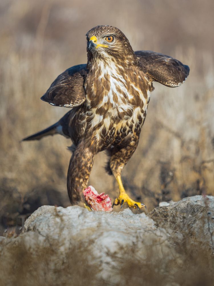 Photograph by Ahmed Sobhi