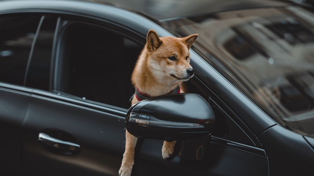 Photograph by Anton Kotlovskii