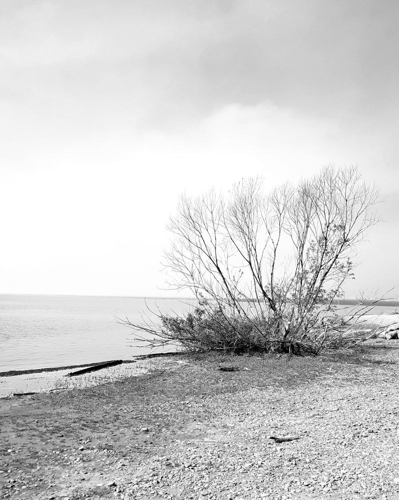 Photograph by Александра Пухкалова