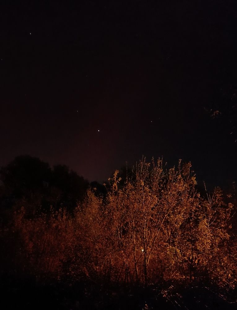 Photograph by Elena Mozhaeva