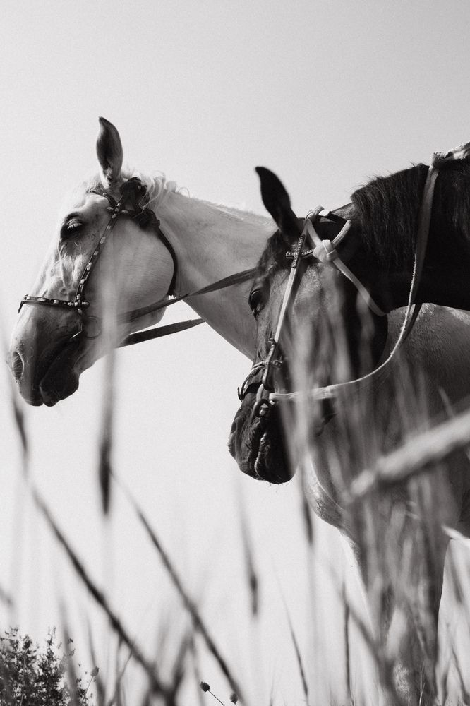 Photograph by Moldir Akhanseri