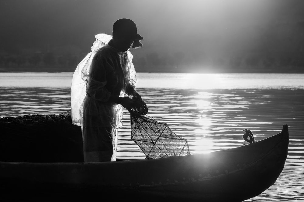 Фотография автора Pham Anh Vu