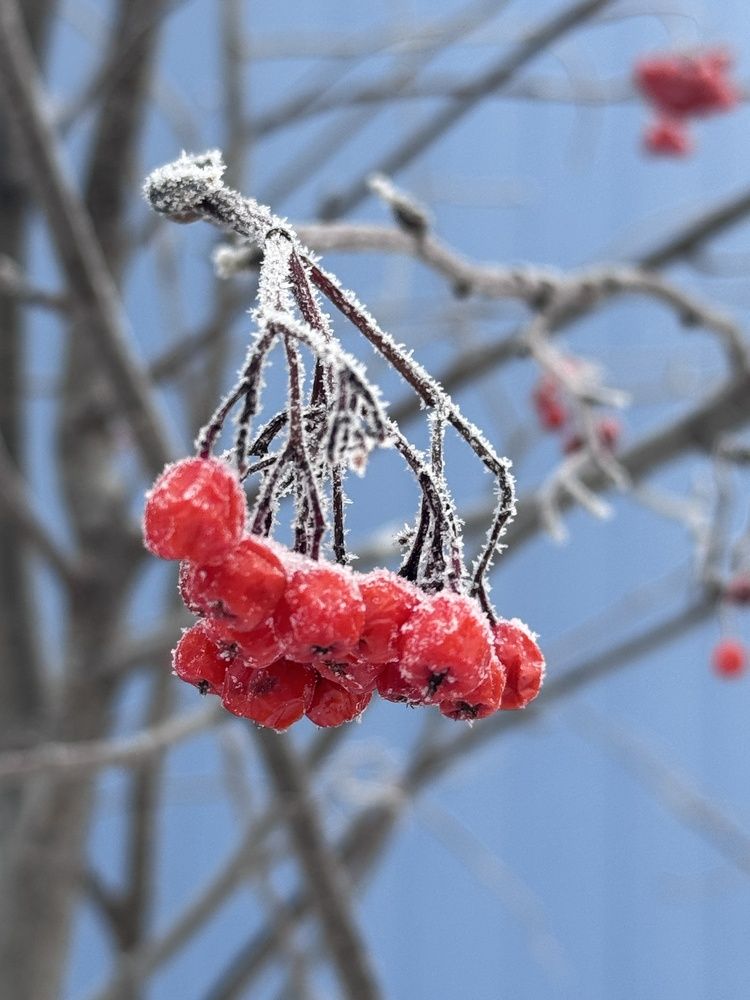 Photograph by Лилия Гарипова