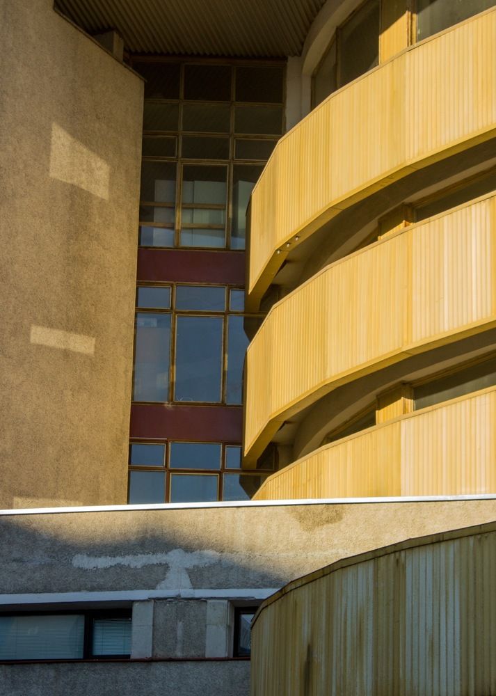 Золотые изгибы