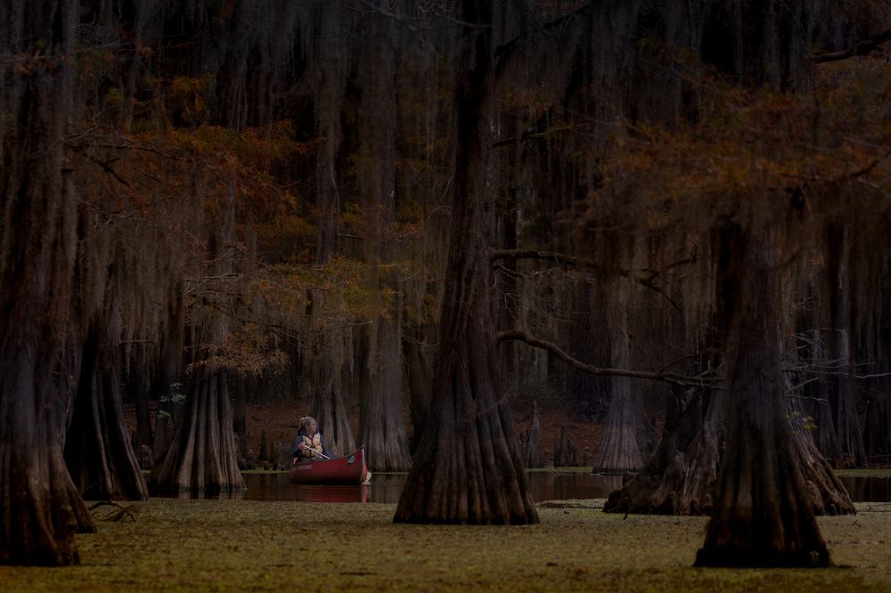 Photograph by Bevzenko Roman