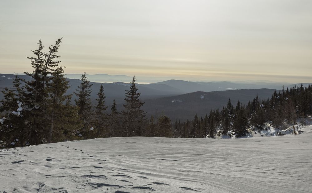 Photograph by федотов Алексей