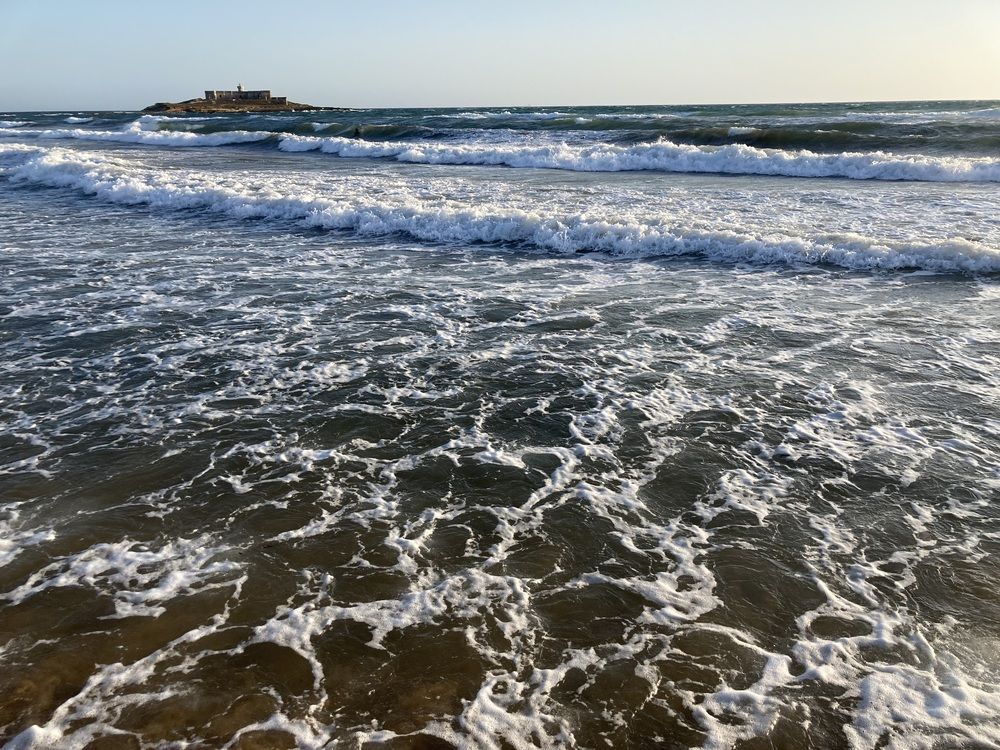 Photograph by Olena Rebrova