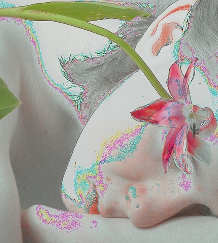 Photograph by Ира Будниченко