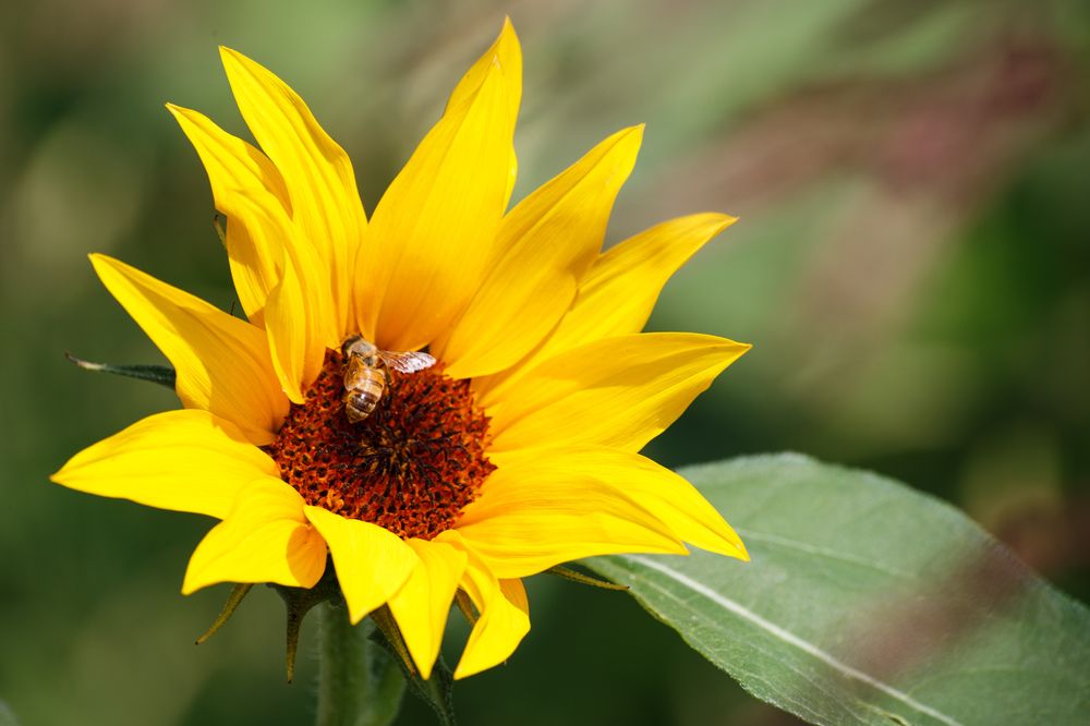 Photograph by Vasily Prokhorov