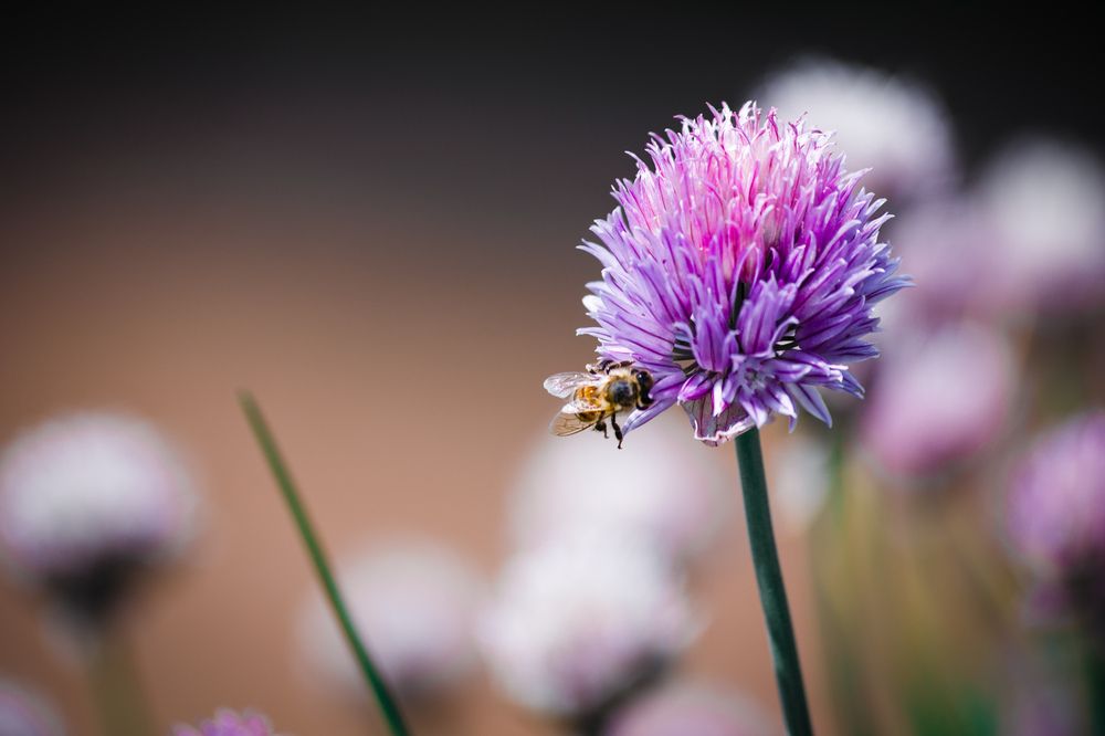 Photograph by Vasily Prokhorov