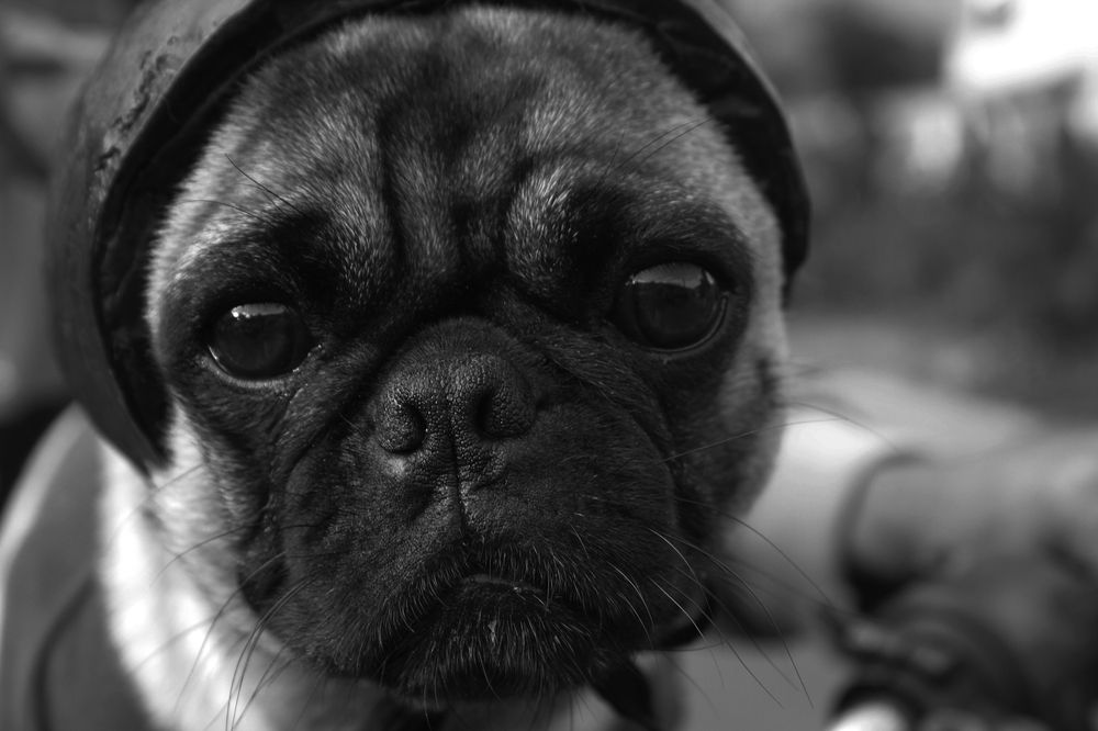 Фотография автора Suarez Silva Malva