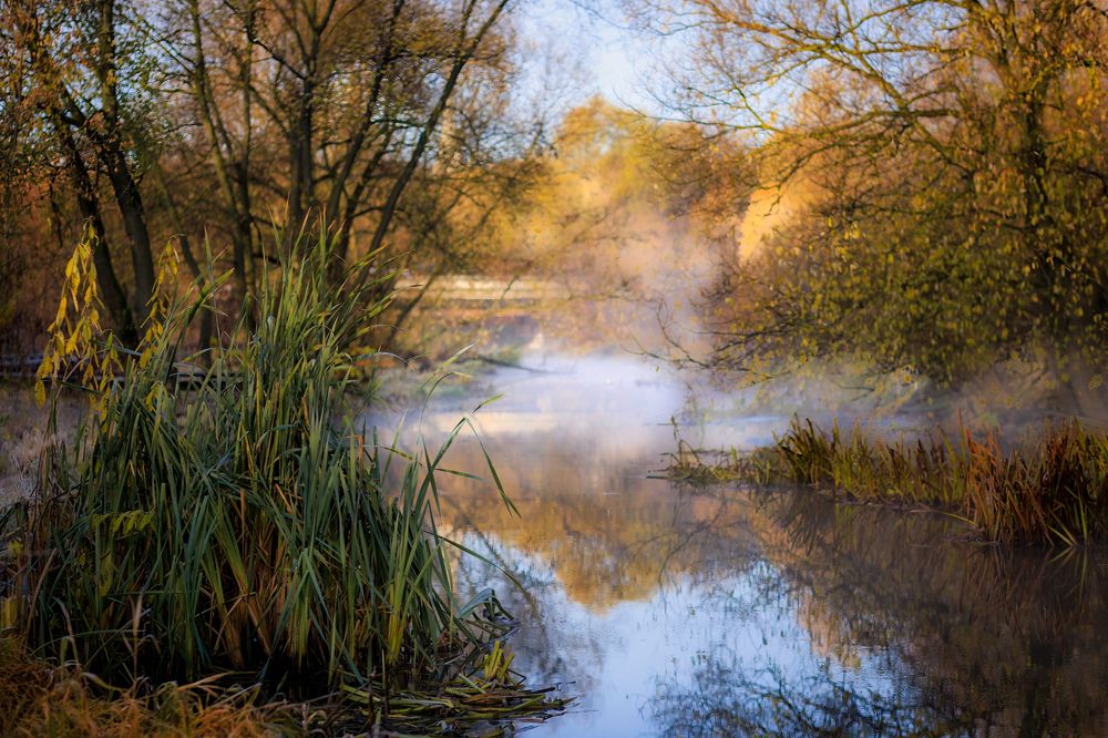 Фотография автора Владимир Барсуков