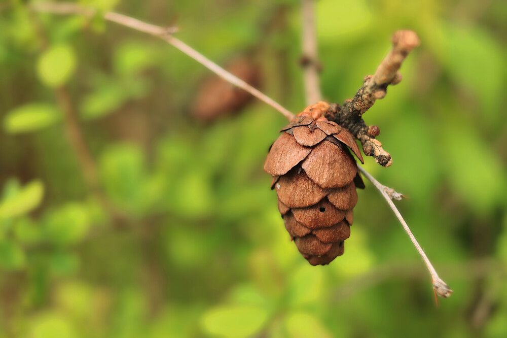 Photograph by Гагик Саркисян