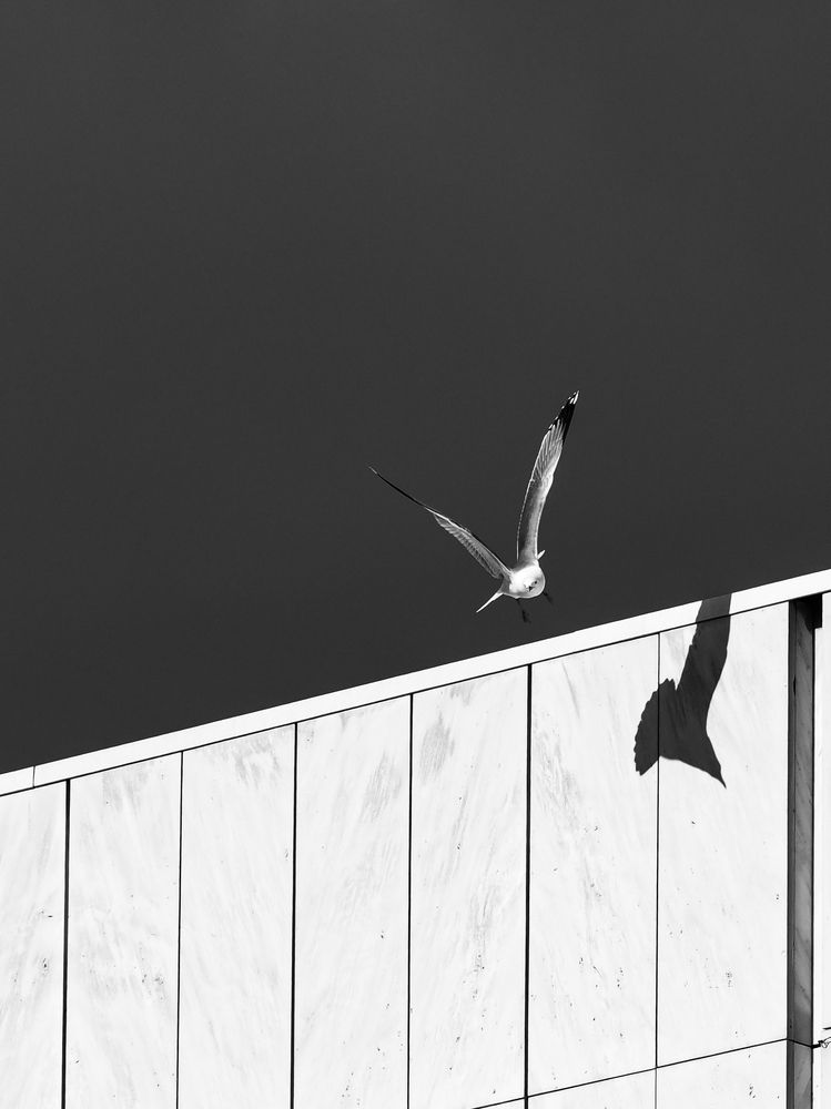 Photograph by Георгий Акопджанов