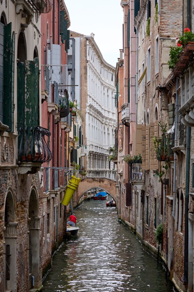 Photograph by Александр Шандов