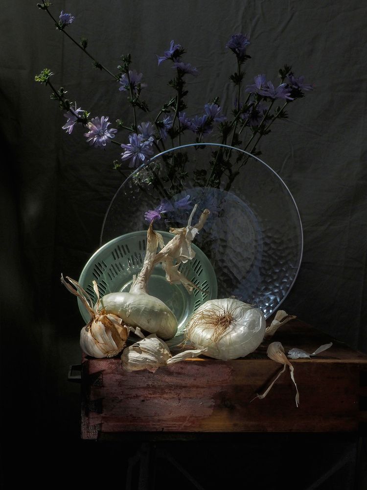 Photograph by Елена Юдовина