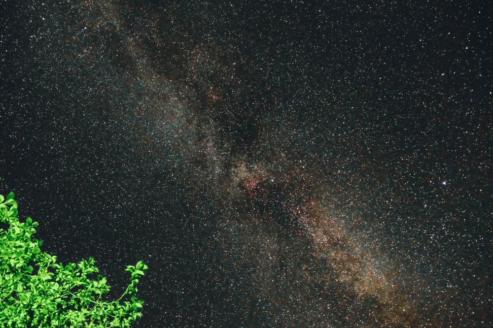 Photograph by Алексей Коротеев