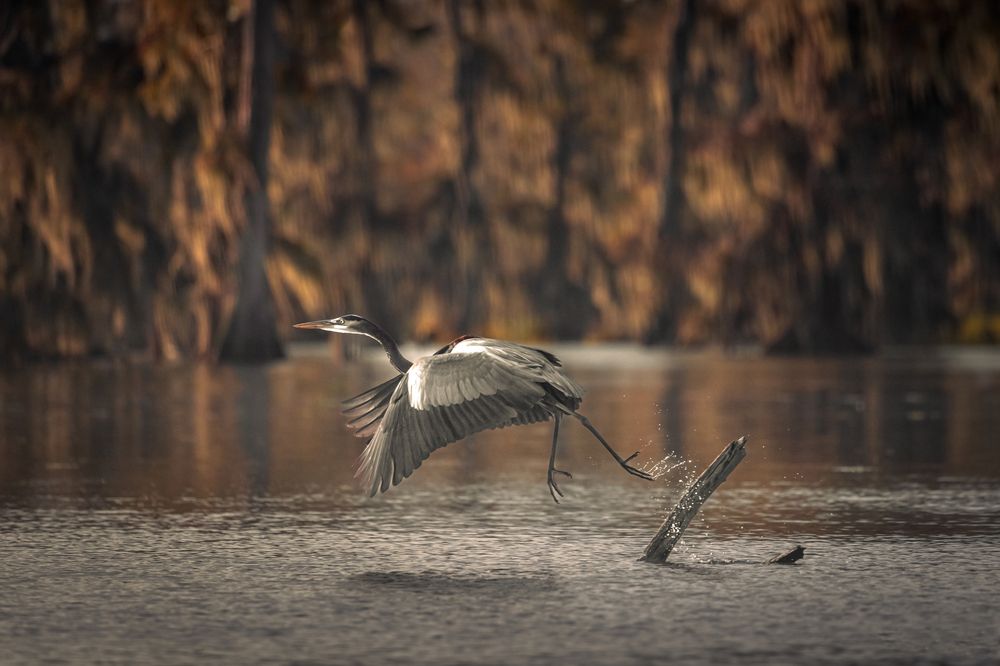 Photograph by Bevzenko Roman