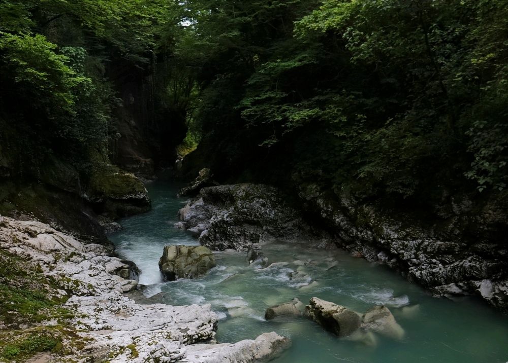 Фотография автора Алиса