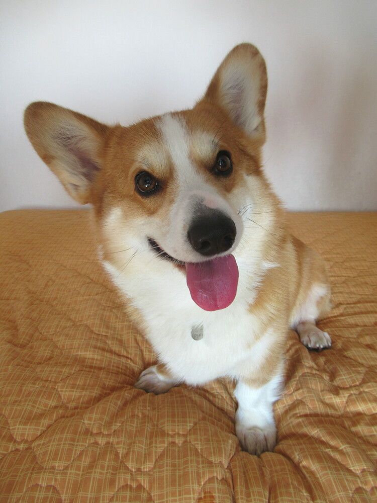 Photograph by Владимир