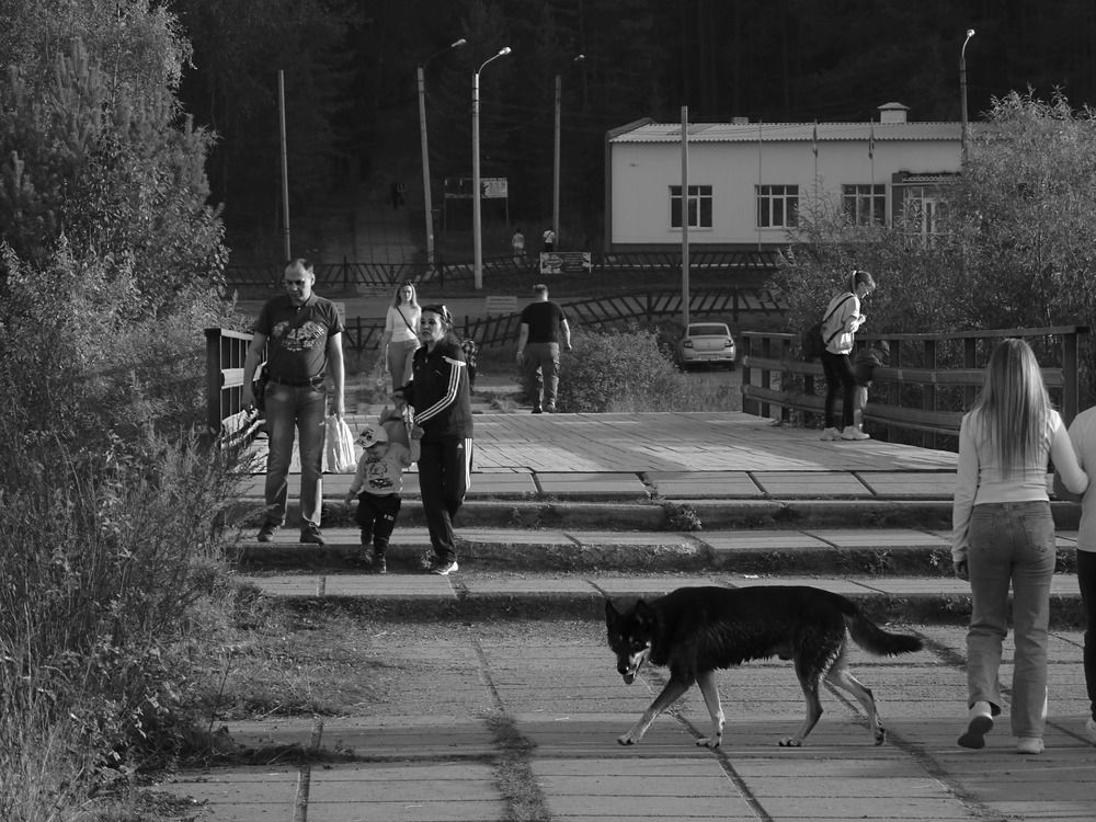 Photograph by Валерий Алфимов