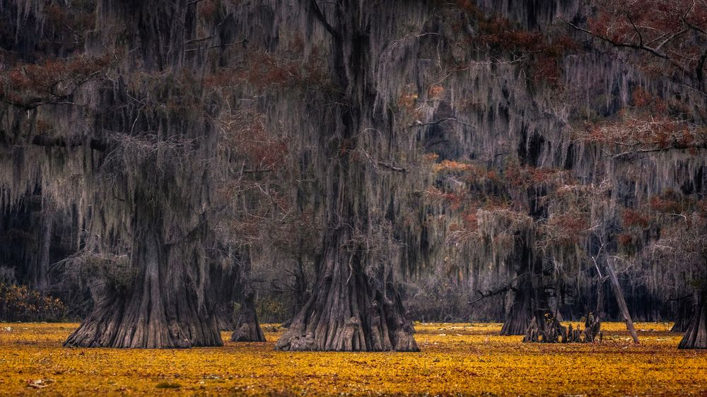 Photograph by Bevzenko Roman