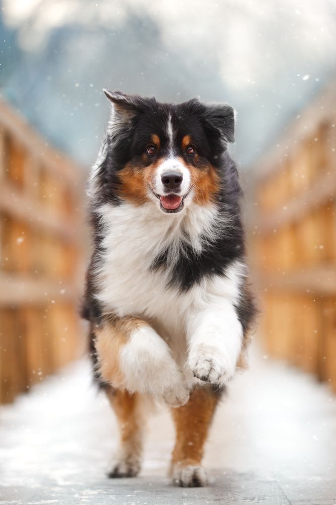 Photograph by Евгения Костусева