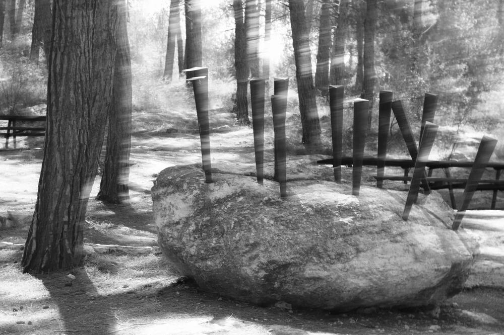 Photograph by יפעת ברונשטיין כהן