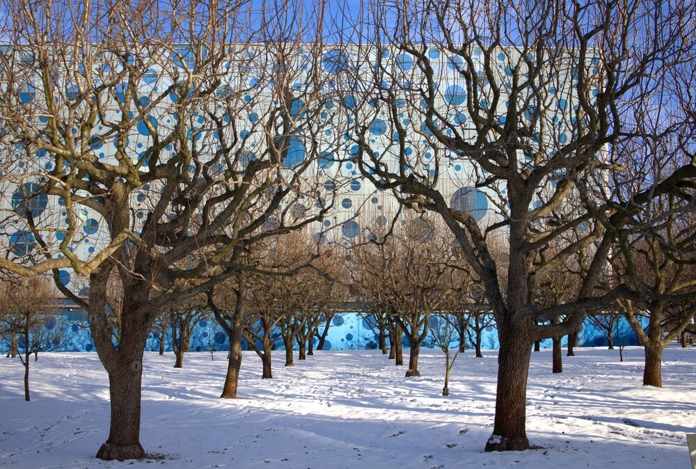 Photograph by владимир Заворотный