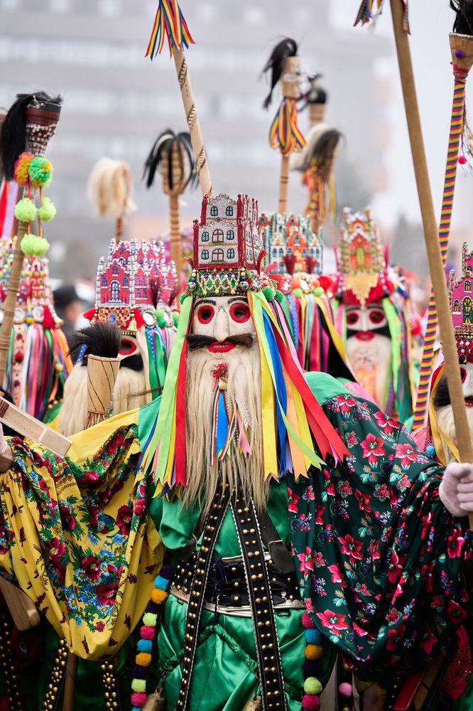 Фотография автора OVIDIU-IOAN TICU