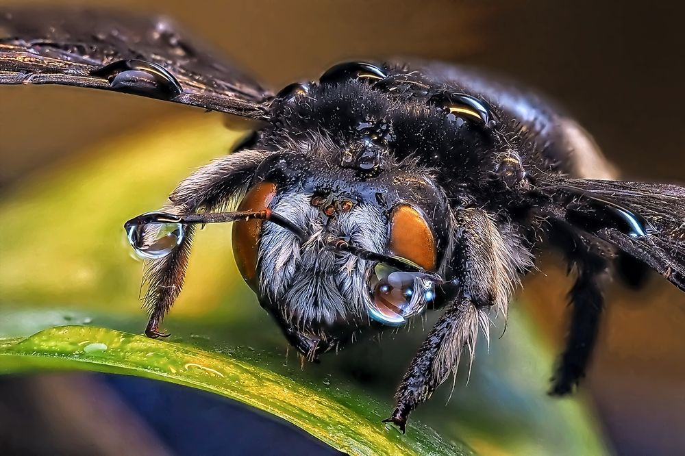 Photograph by Савчук Анатолий