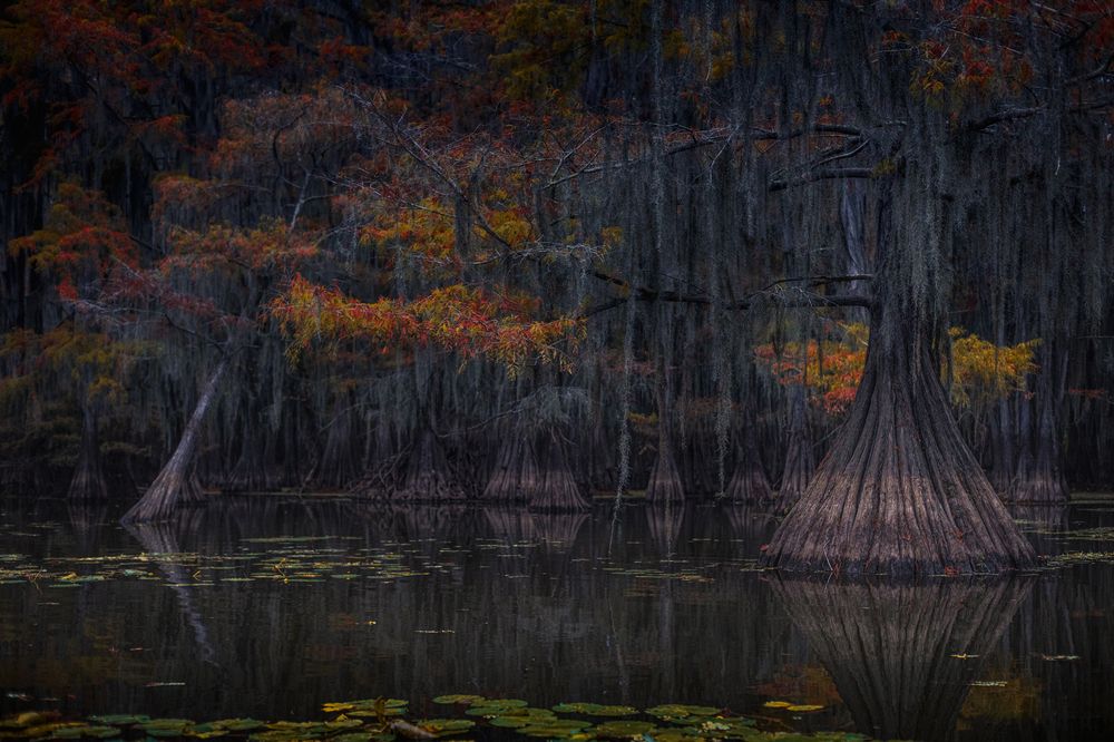 Photograph by Bevzenko Roman