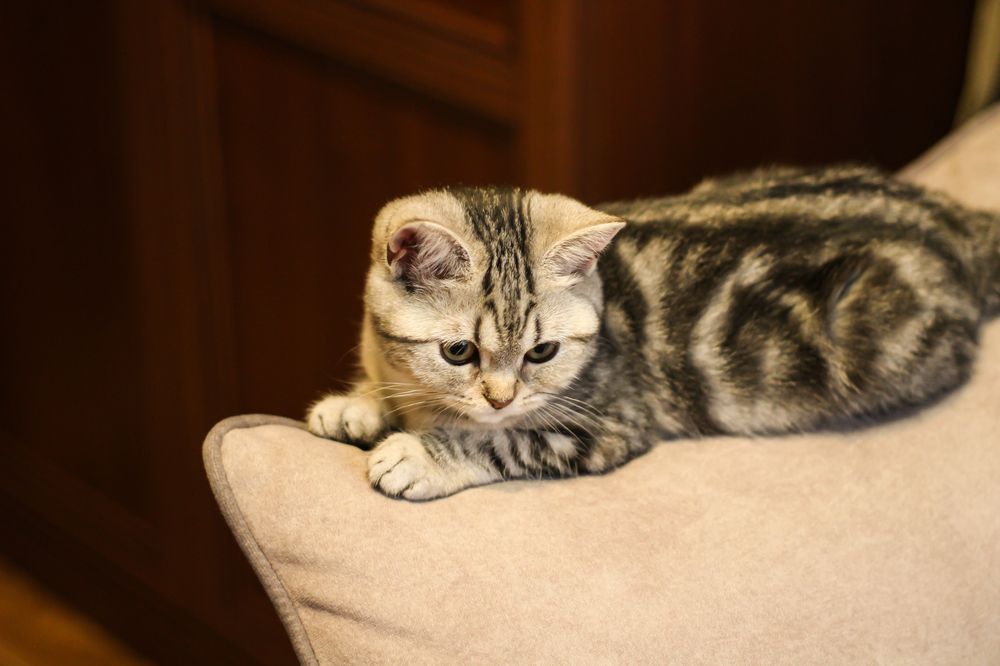 Photograph by Сергей Михайлов