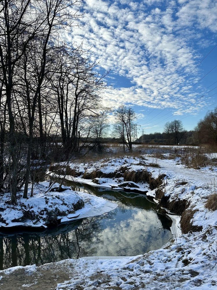 Photograph by Ольга Большакова