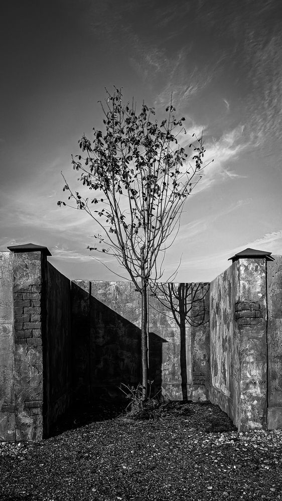 Photograph by Lenar Valeev