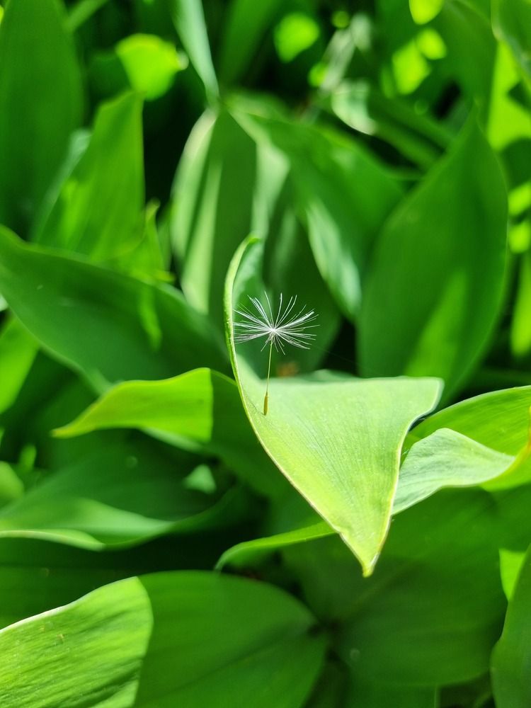 Photograph by Ольга