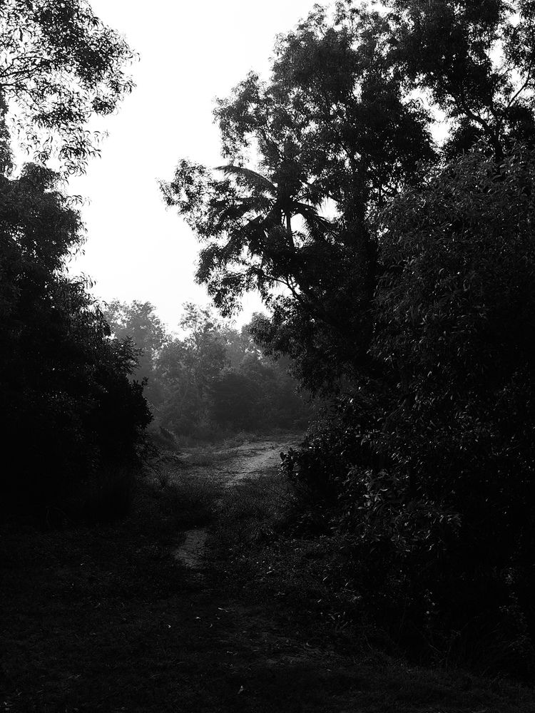 Photograph by DEBARSHI MUKHERJEE