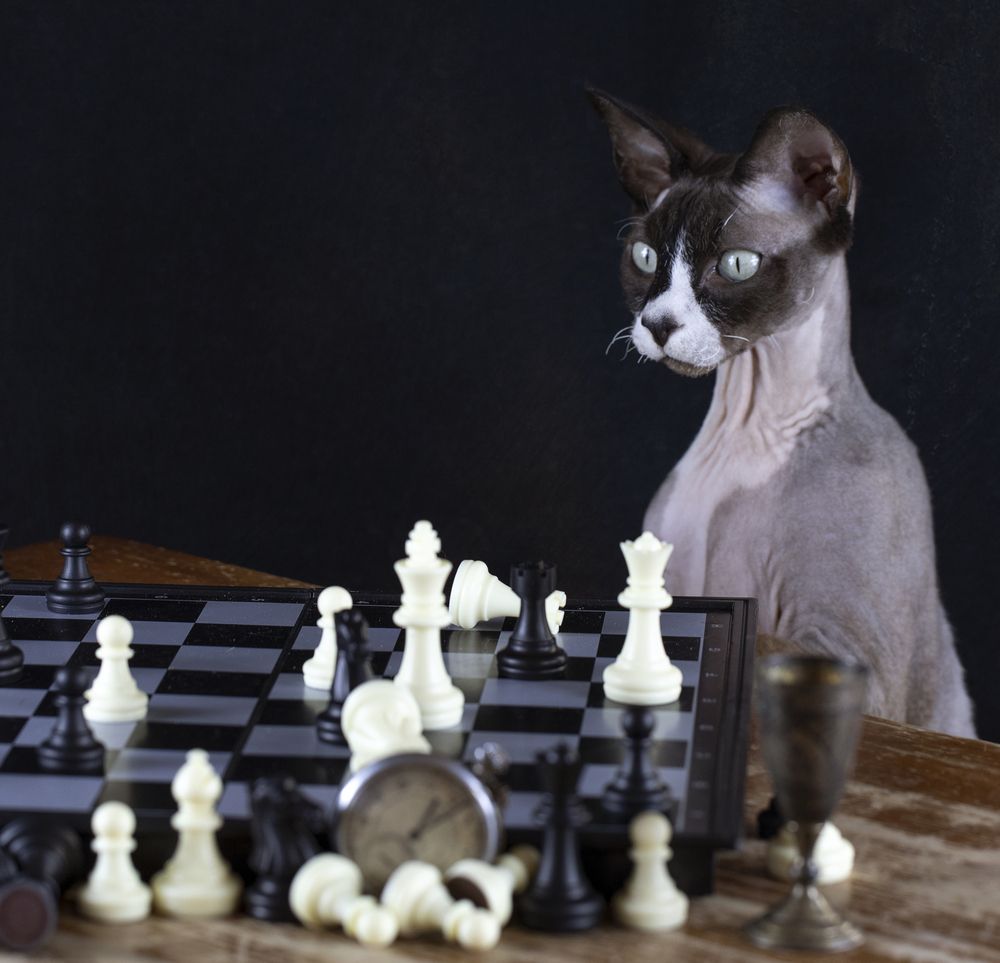 Photograph by Татьяна Феденкова