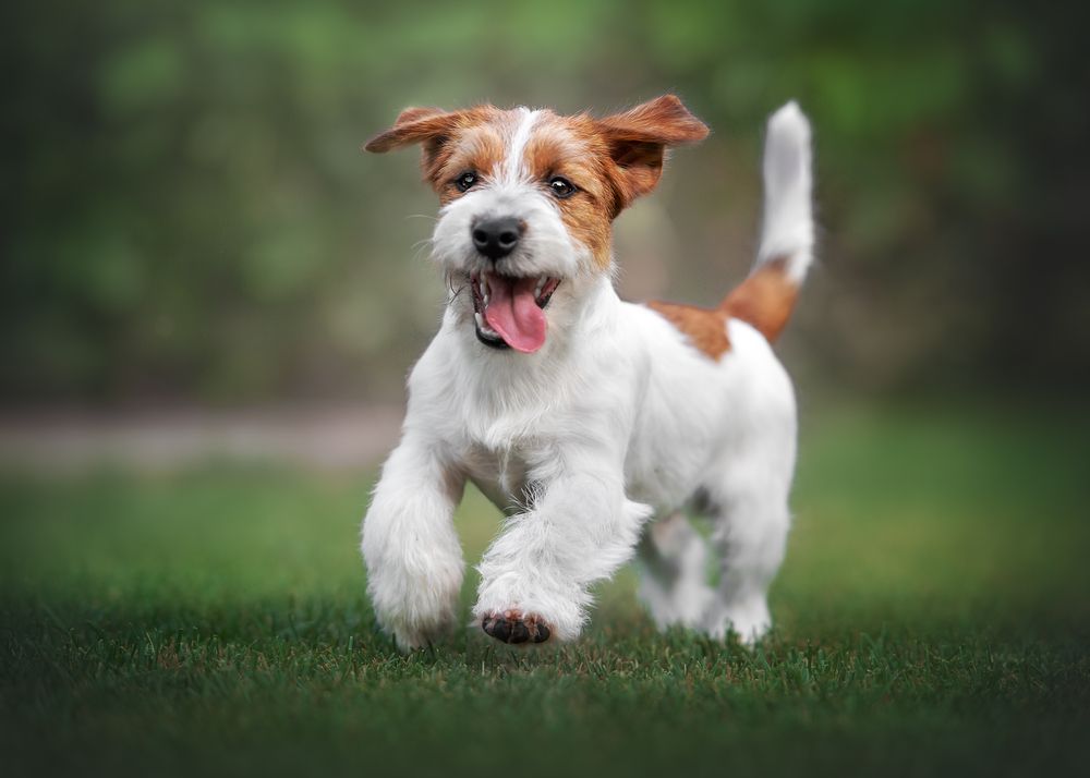 Photograph by Наталья Орел