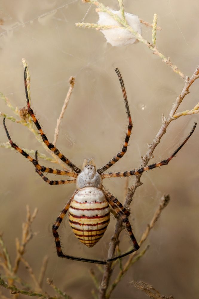 Фотография автора sherif Abdallah