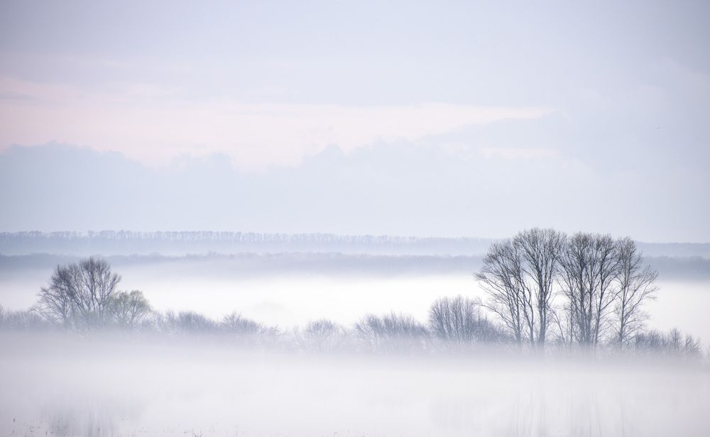 Photograph by Евгений