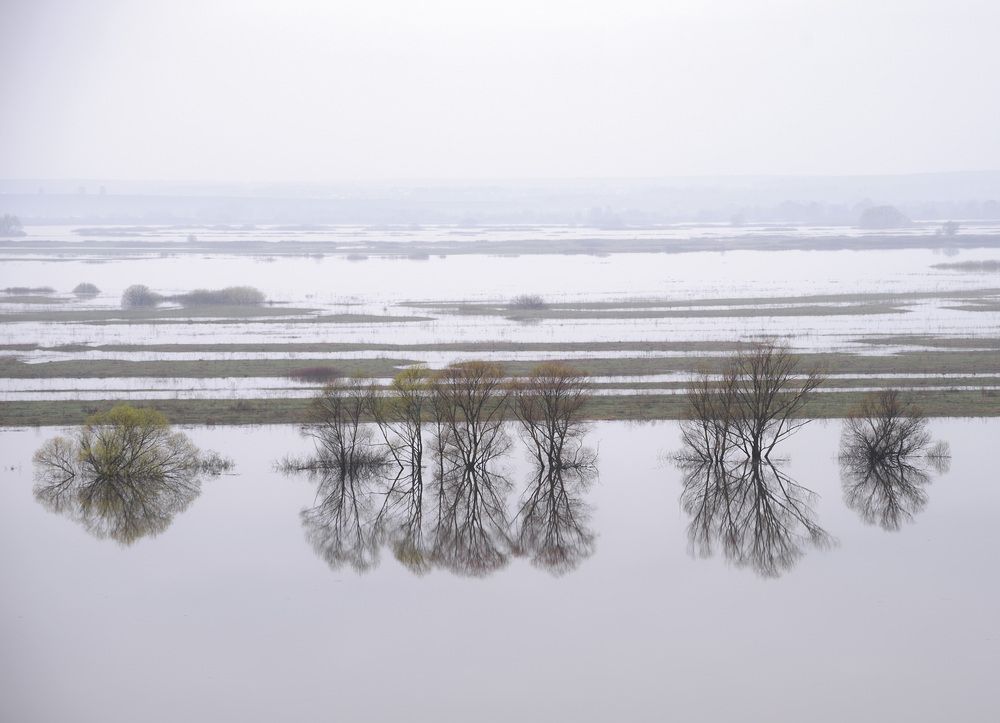 Photograph by Евгений