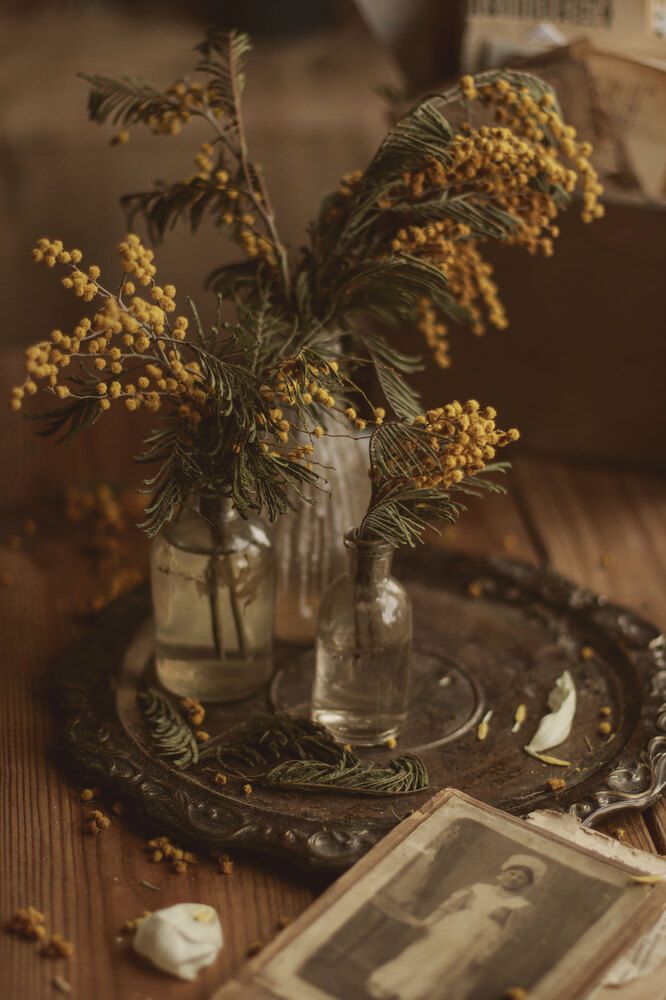 Photograph by Ирина Столбовая